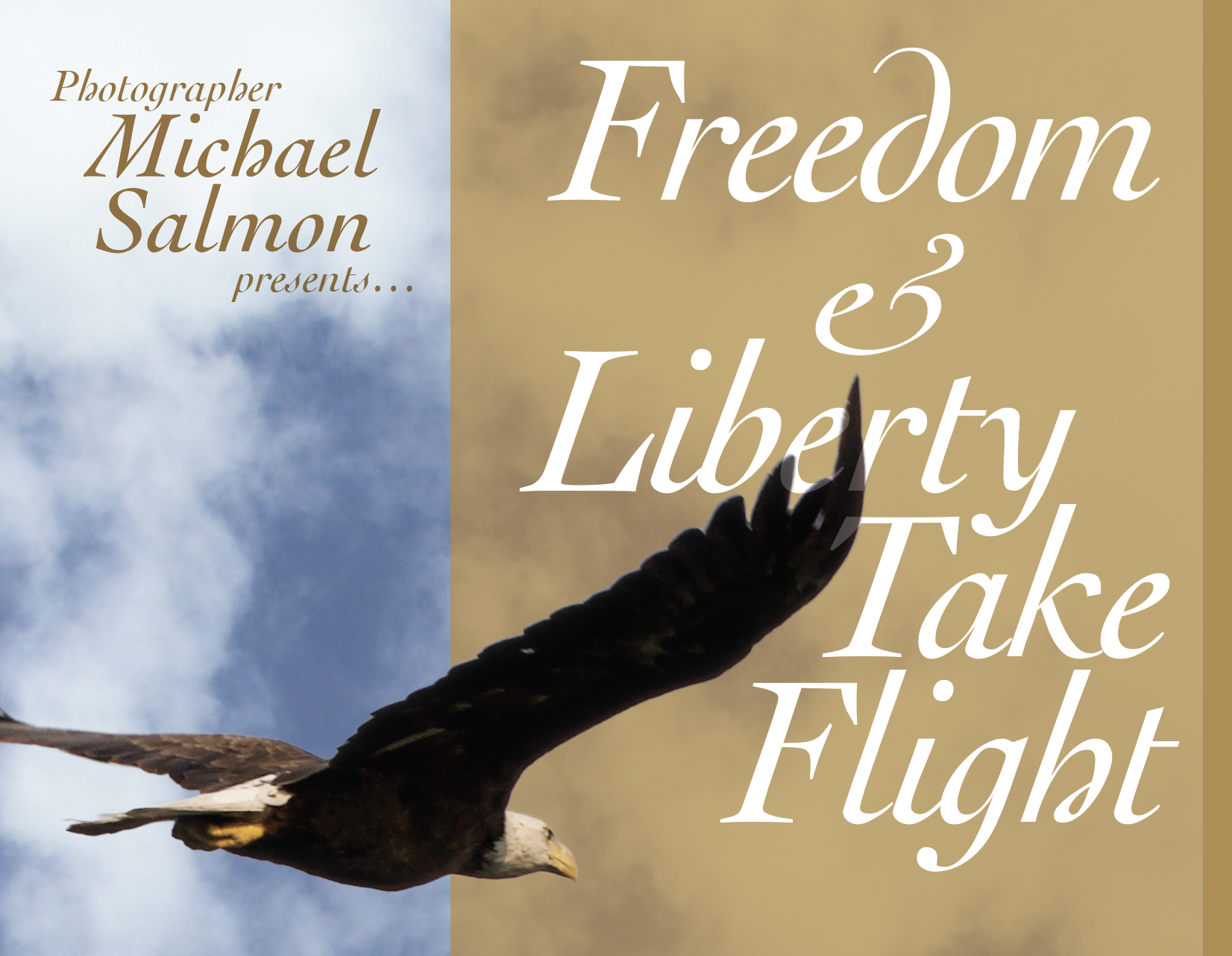 Book cover art for illustrated children's book, "Freedom and Liberty Take Flight", published by Pixel Glyph Press